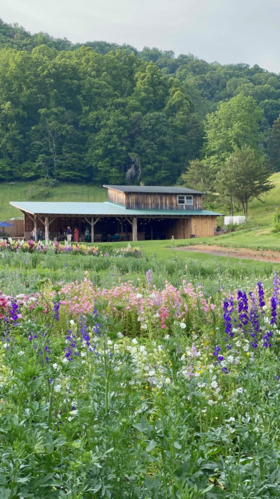 The Never Ending Flower Farm in Weaverville NC