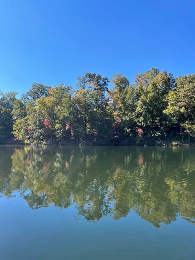 Lake in Asheville