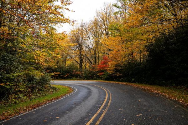 Blue Ridge fall foliage