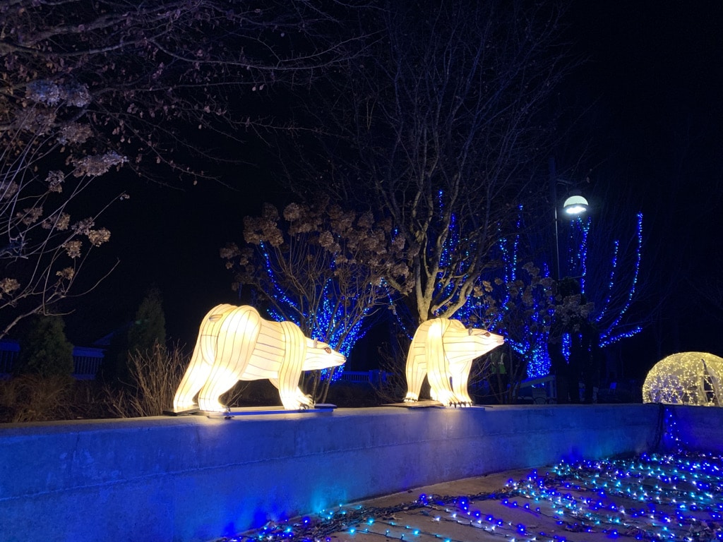 Holiday lights polar bears