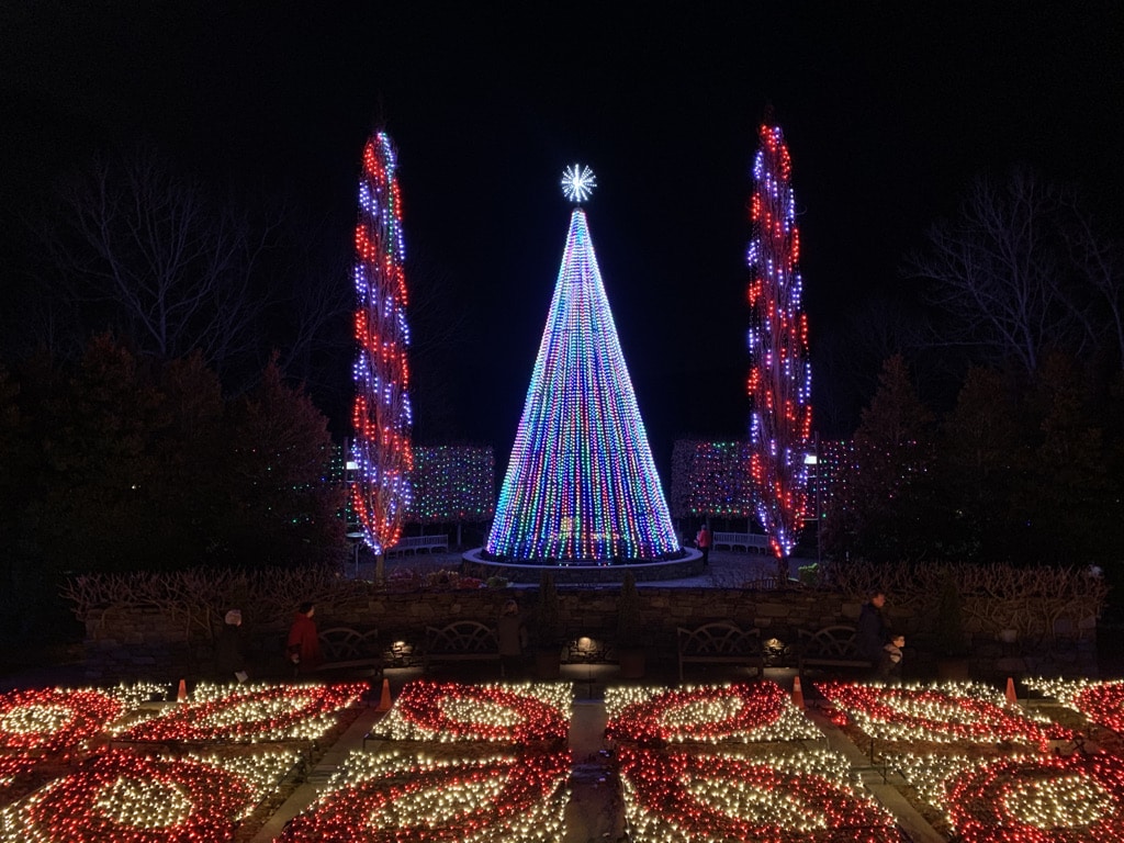 Winter Lights tree