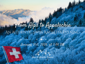 Authentic Swiss Raclette Dinner