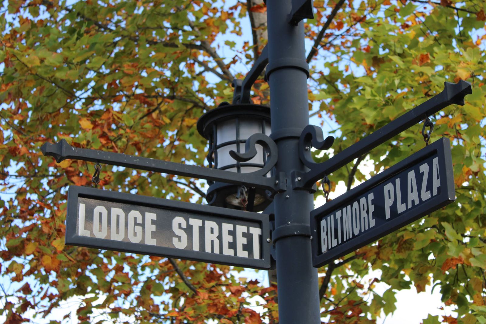 Vintage street signs for Lodge Street and Biltmore Plaza under fall leaves in Historic Biltmore Village, Asheville Vintage street signs for Lodge Street and Biltmore Plaza under fall leaves in Historic Biltmore Village, Asheville